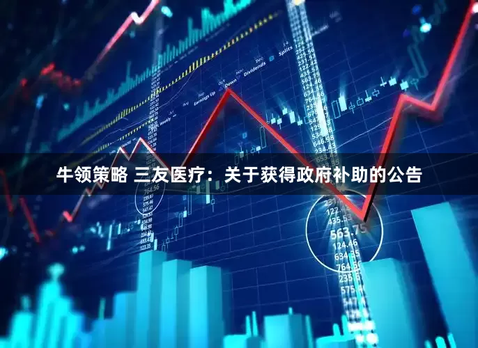 牛领策略 三友医疗：关于获得政府补助的公告