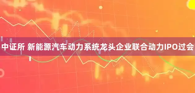 中证所 新能源汽车动力系统龙头企业联合动力IPO过会