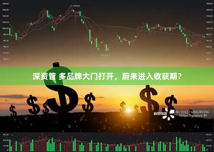 深资管 多品牌大门打开，蔚来进入收获期？