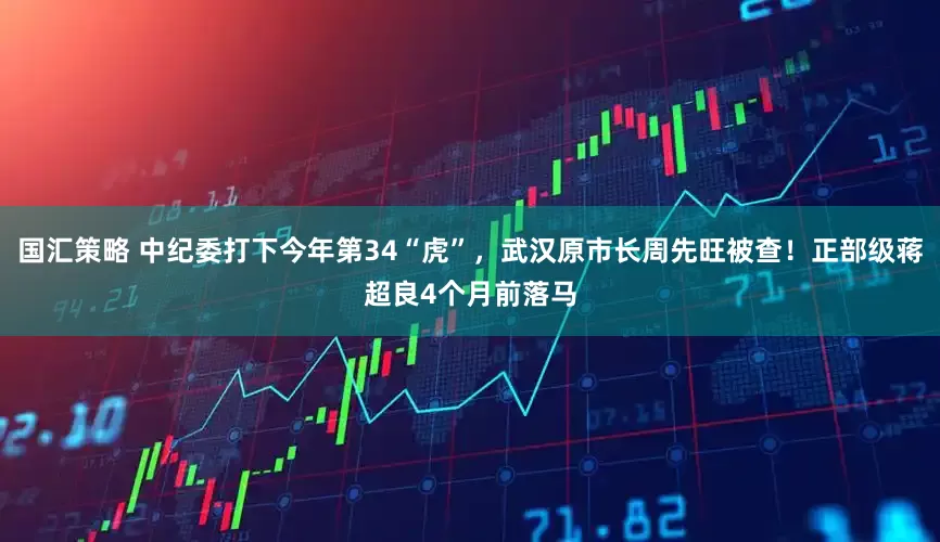国汇策略 中纪委打下今年第34“虎”，武汉原市长周先旺被查！正部级蒋超良4个月前落马