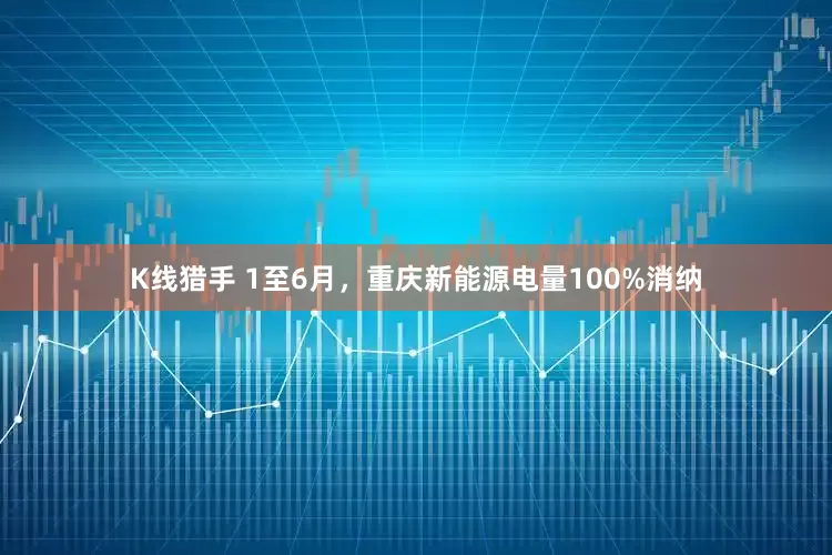 K线猎手 1至6月，重庆新能源电量100%消纳