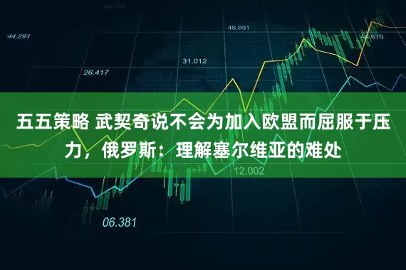 五五策略 武契奇说不会为加入欧盟而屈服于压力,俄罗斯:理解塞尔维亚的难处
