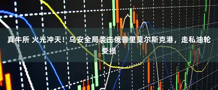 真牛所 火光冲天！乌安全局袭击俄普里莫尔斯克港，走私油轮受损