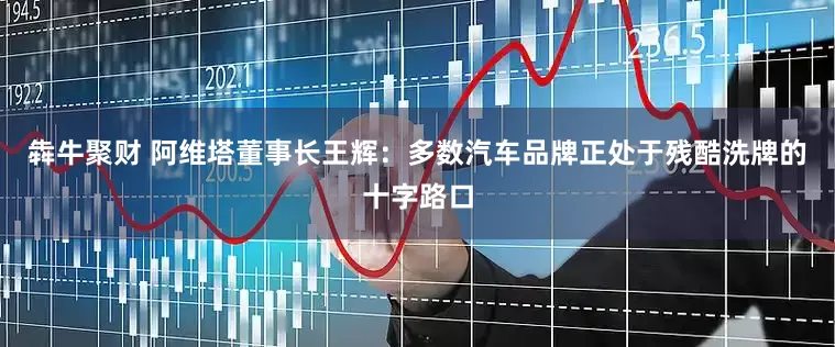 犇牛聚财 阿维塔董事长王辉：多数汽车品牌正处于残酷洗牌的十字路口