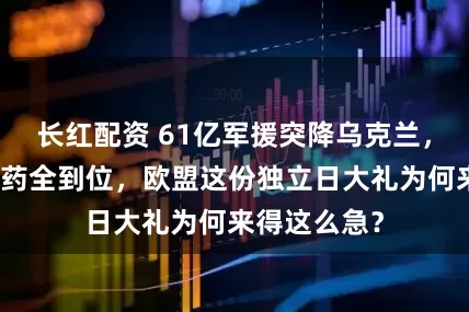 长红配资 61亿军援突降乌克兰，导弹雷达弹药全到位，欧盟这份独立日大礼为何来得这么急？