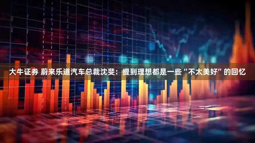 大牛证券 蔚来乐道汽车总裁沈斐：提到理想都是一些“不太美好”的回忆